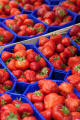 Erdbeeren