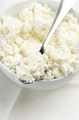 Cottage cheese close-up