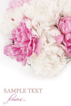 Fototapeta Beautiful peony flowers