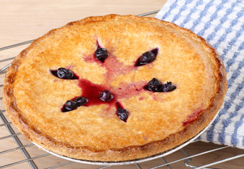 Blueberry Pie
