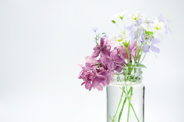 Beautiful spring flowers
