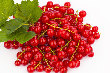 Rote Johannisbeeren - Ribisel
