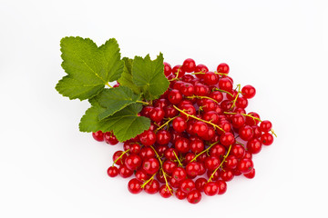Rote Johannisbeeren - Ribisel