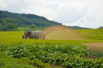 Gülle