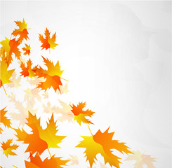 Vector autumn leaves abstract background