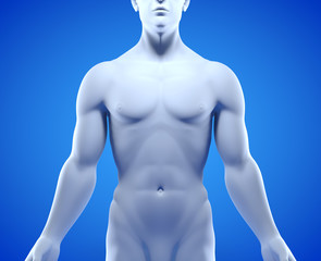 Fototapeta premium Männlicher Oberkörper