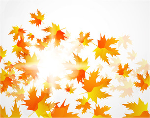 Naklejka na ściany i meble Vector autumn leaves abstract background