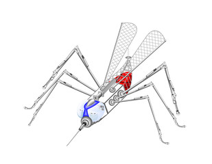 mosquito