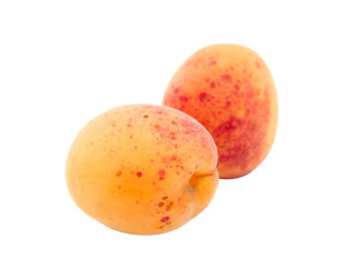 apricot