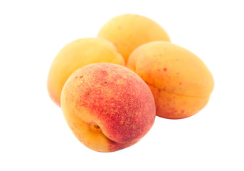 apricot