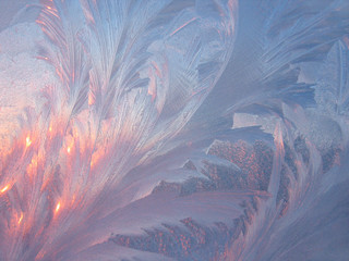 frost and sun on winter glass