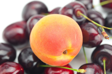 apricot on background cherry
