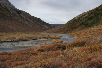 Denali Nationalpark in Alaska USA, Alaskarange