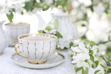 Tea in the blossoming garden