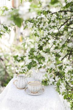 Tea in the blossoming garden