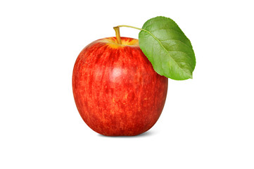 Obst 341