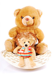 animals isolated on a white background