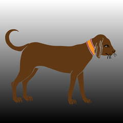 Vector dog silhouette