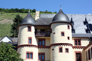 Palace of the Elector in Zell in Germany