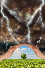 Two hands preserve a green tree against a thunder-storm