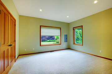 Large green bedroom with two windows