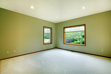 Large empty room with green walls