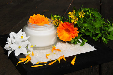Naturheilkunde Pflanzen Ringelblumen