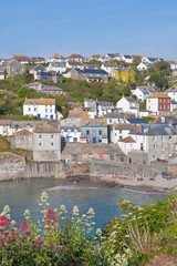 View of Port Isaac bay in Cornwall