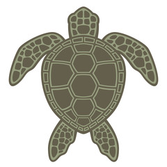 Obraz premium Green Sea Turtle