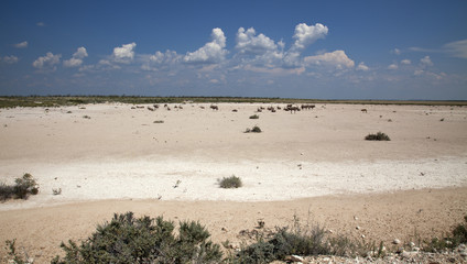 Etosha Nationalpark