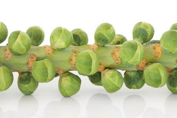 Sprouts on a Stem