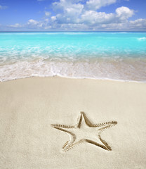 Fototapeta na wymiar caribbean beach starfish print white sand summer
