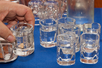 Plum brandy shots
