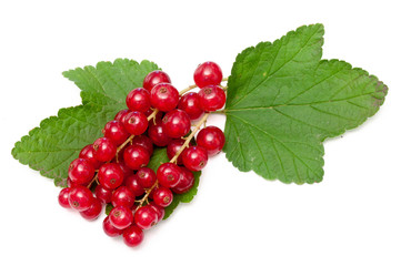 currants