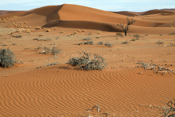 Sanddünen
