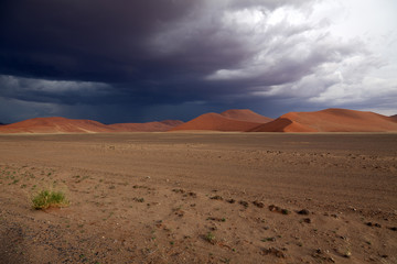 Fototapeta na wymiar Namib-Naukluft-Narodowy