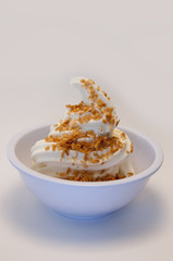 Vanilla Frozen Yogurt with Toasted Coconut Topping