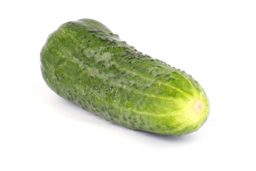 Cucumber