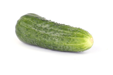 Cucumber