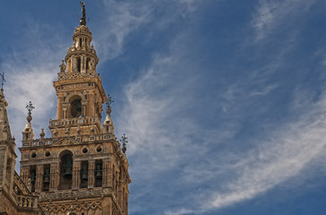 Fototapeta na wymiar The Seville Cathedral