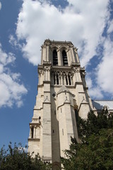 Fototapeta na wymiar Cathédrale Notre-Dame de Paris