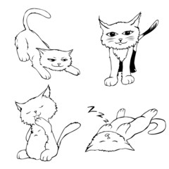 Kitten cartoons