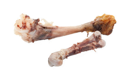 Chicken bones