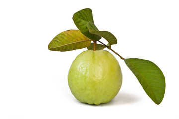 fresh guava Isolated