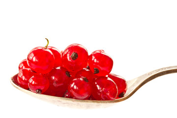 redcurrant