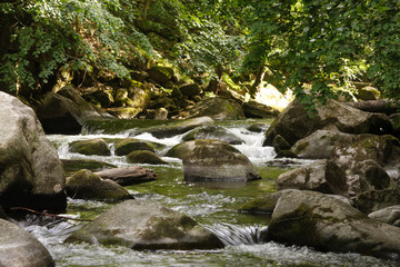 wikdromantische Bode