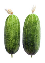 Two Cucumbers