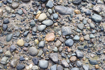 Picture stones on a sea bottom in low-tide water