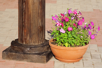 Vase of flowers standing on the street