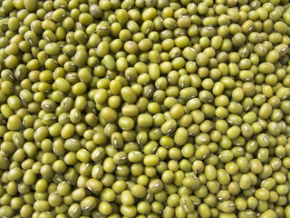 Green mung beans